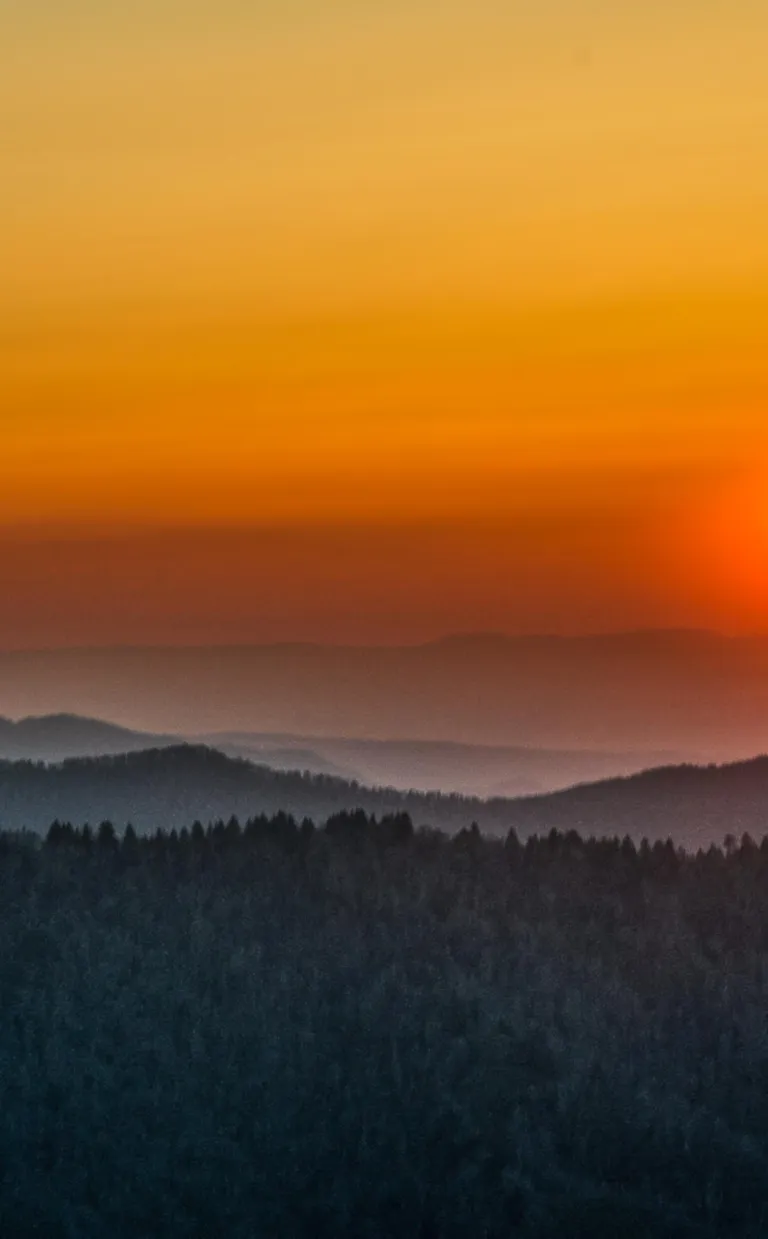 Day Trip: Exploring the Great Smoky Mountains National Park