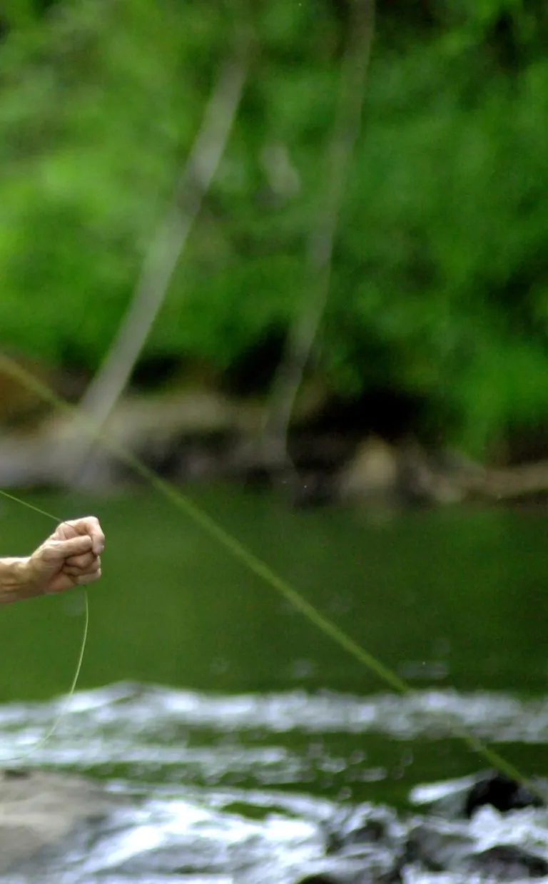 Fly Fishing in Asheville