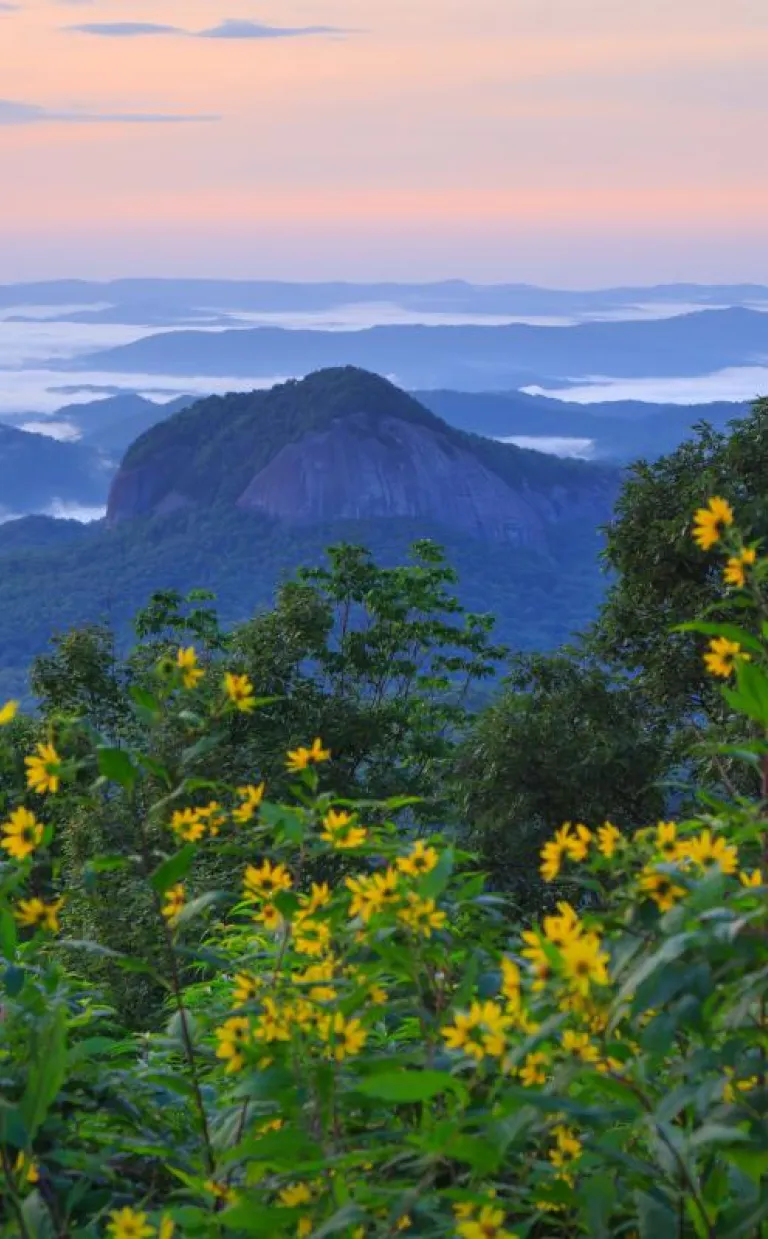 Looking Glass Rock with wildflowers