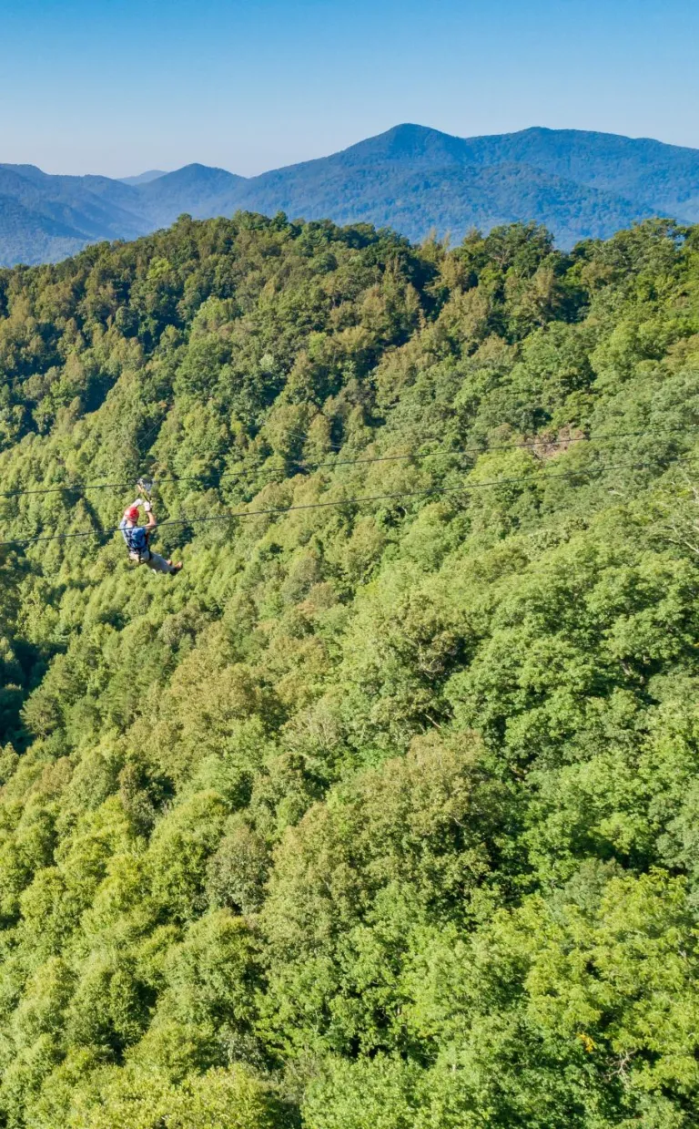 Navitat Canopy Adventures