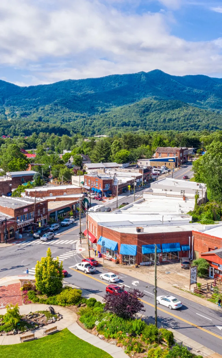 an aerial view of a Black Mountain neighborhood with mountains in the background