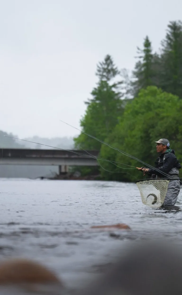Fishing in