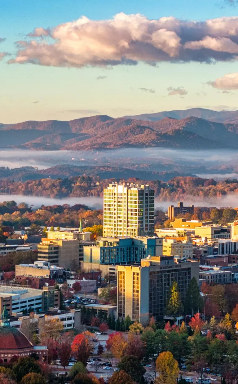 Asheville Skyline