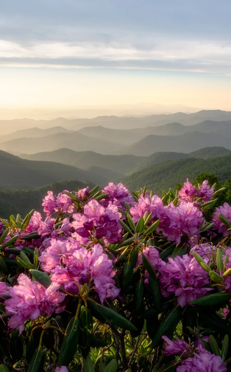 Craggy Pinnacle / Photo: J Smilanic