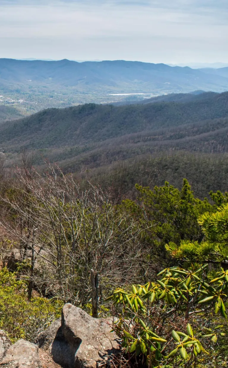 Graybeard Trail Ashevile