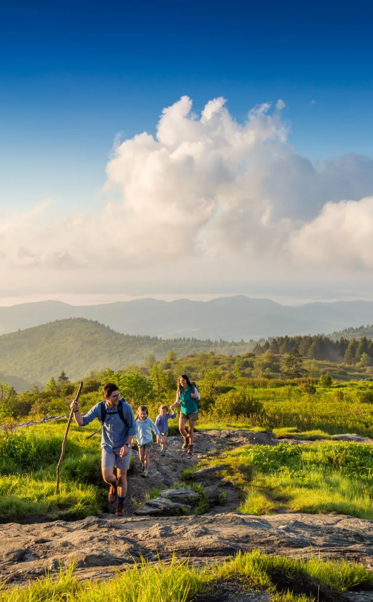 Your Essential Guide to Summer in Asheville NC