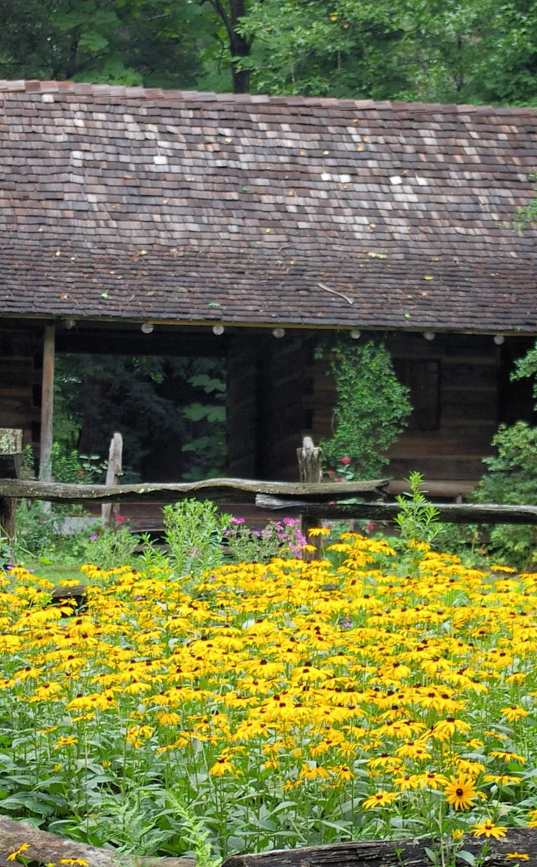 Botanical gardens Trail Asheville NC