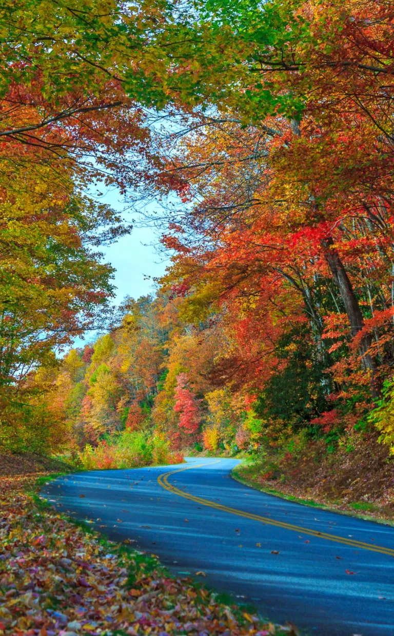 Interactive%20Fall%20Color%20Map%20|%20Explore%20Asheville