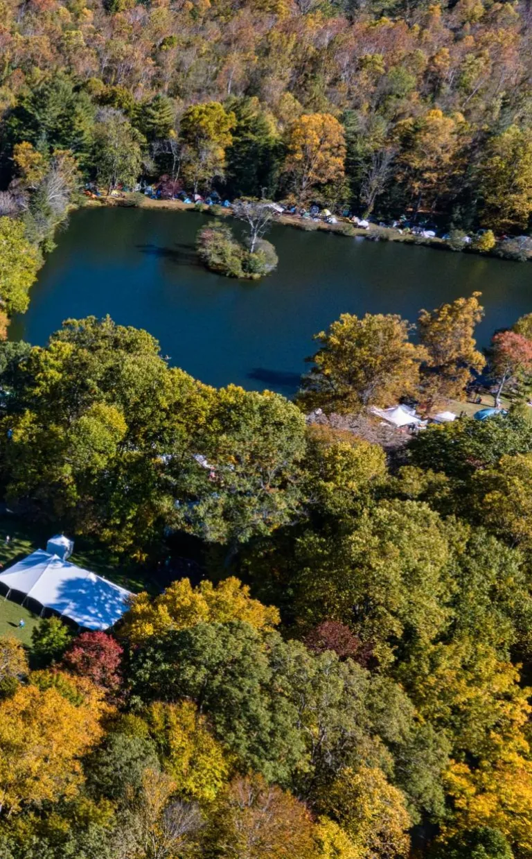 aerial view of global arts center with colorful trees