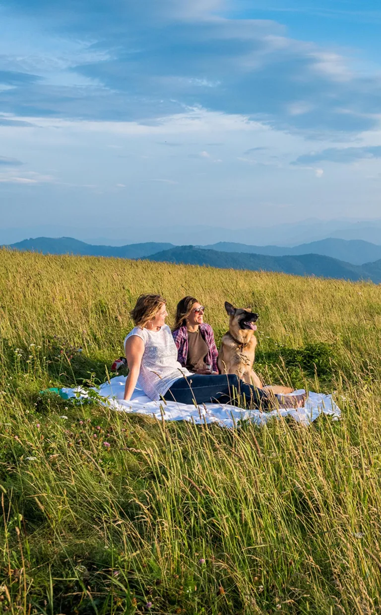 Mountain Balds Near Asheville, NC