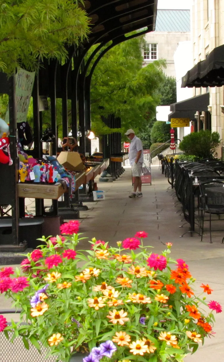 Asheville's Urban Trail - Grove's Vision