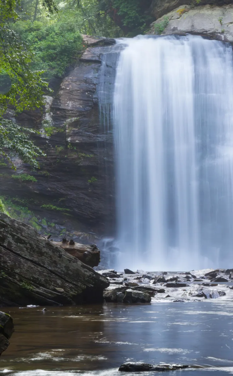 A cascading waterfall surrounded by greenery in Asheville