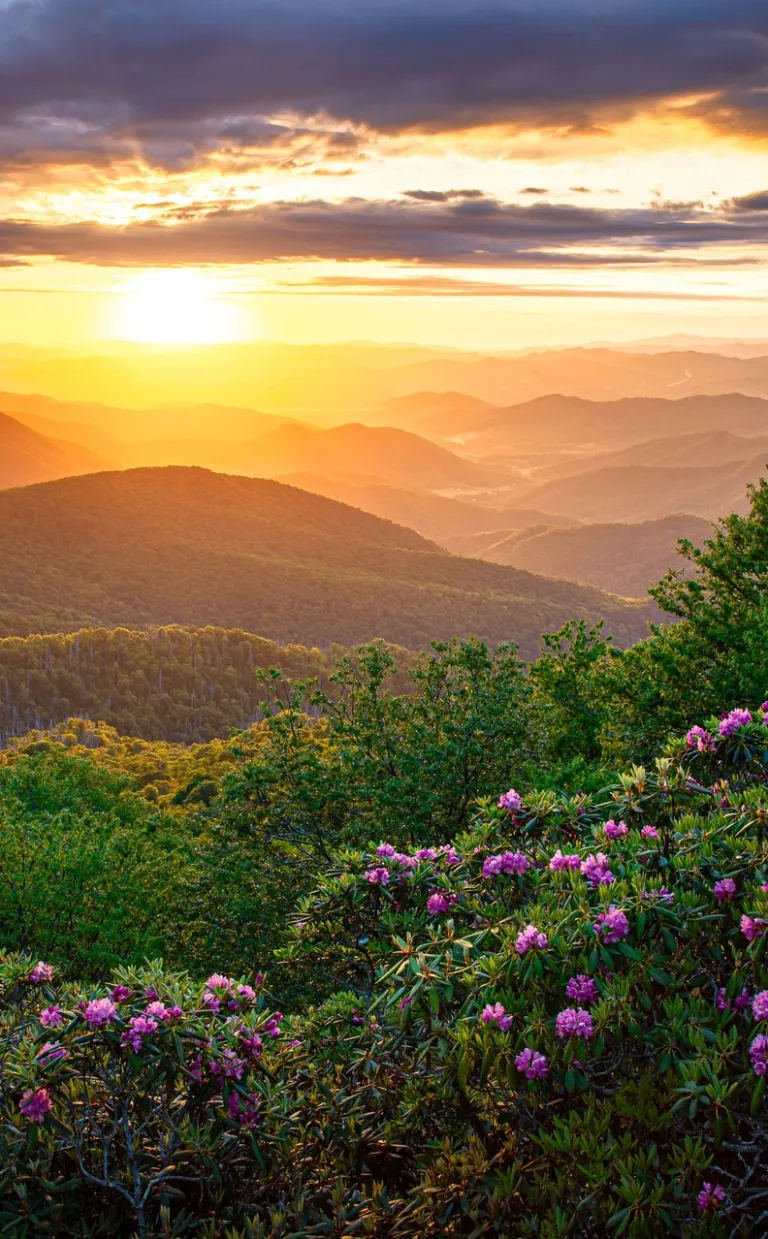 Craggy Gardens