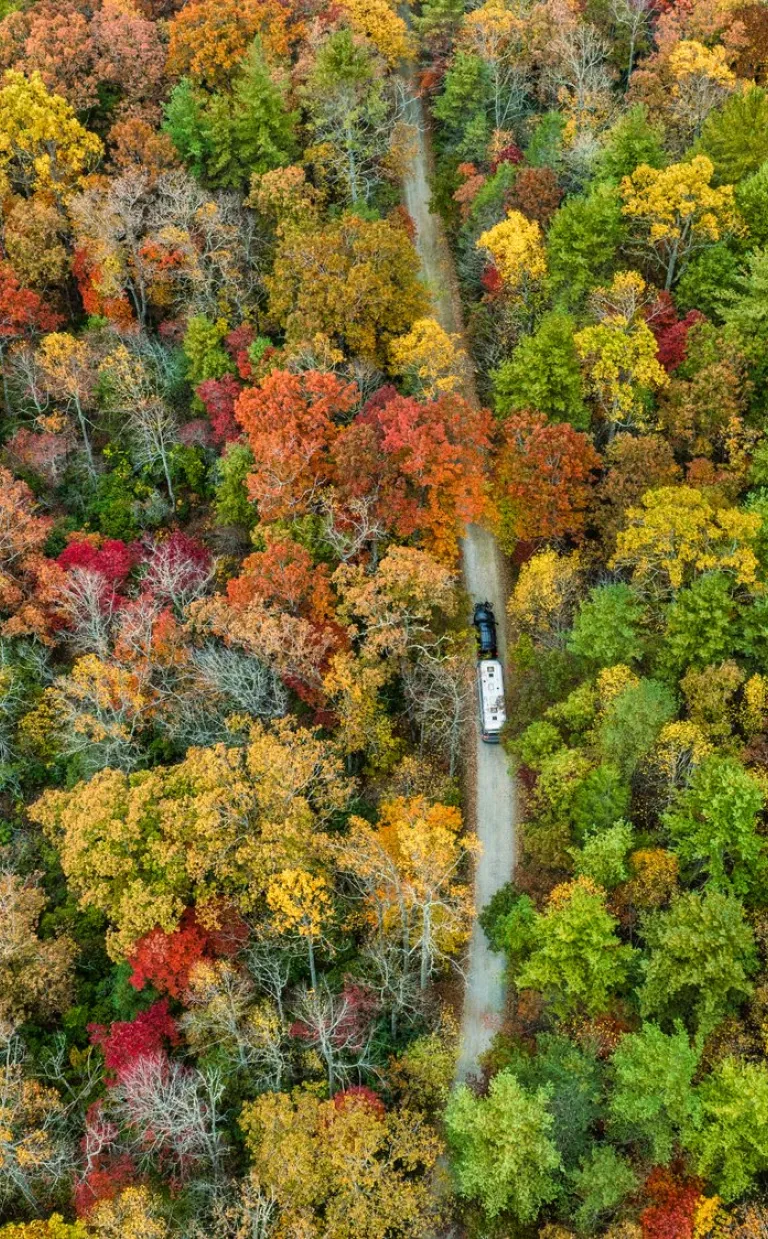 Yellow Gap Road in the Pisgah National Forest /Photo: Reggie Tidwell