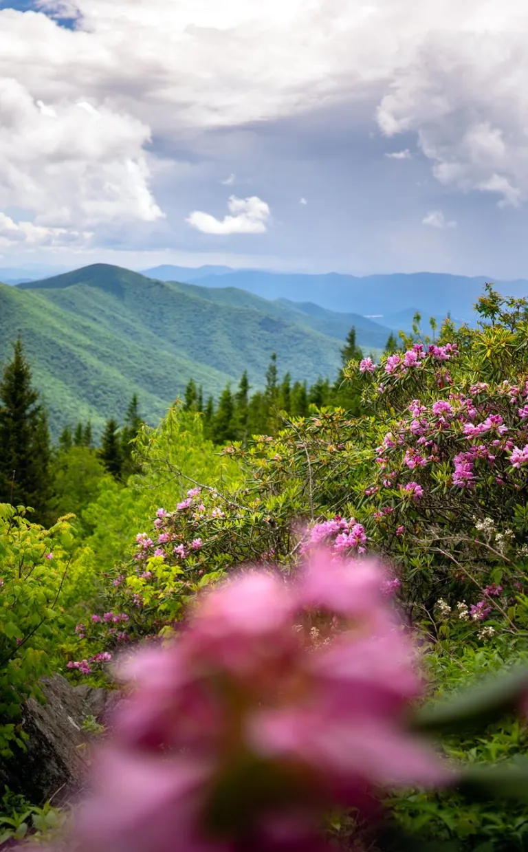 Mountains-to-Sea Trail near Mount Mitchell / Photo: J Smilanic