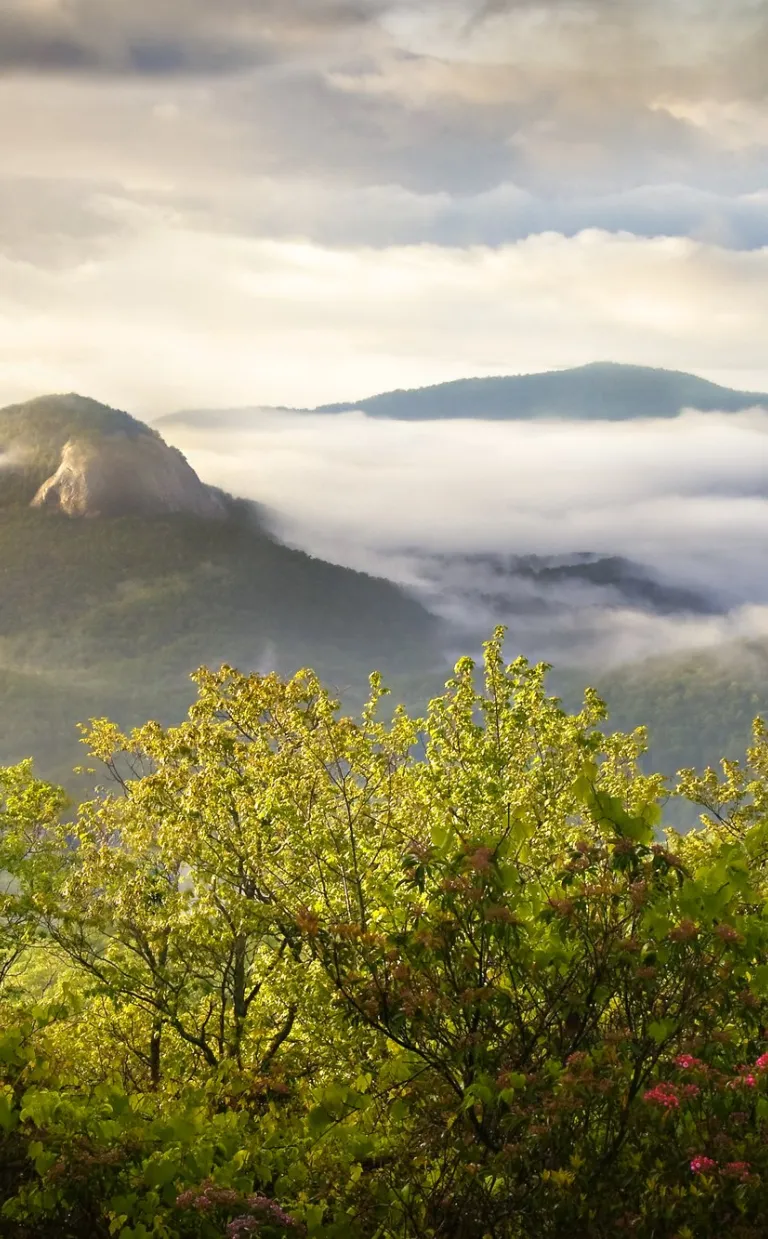 Looking Glass Rock / Photo: Dave Allen