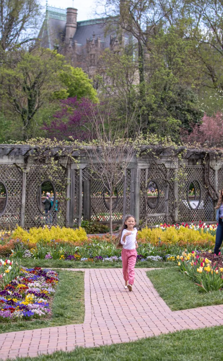 Biltmore Blooms