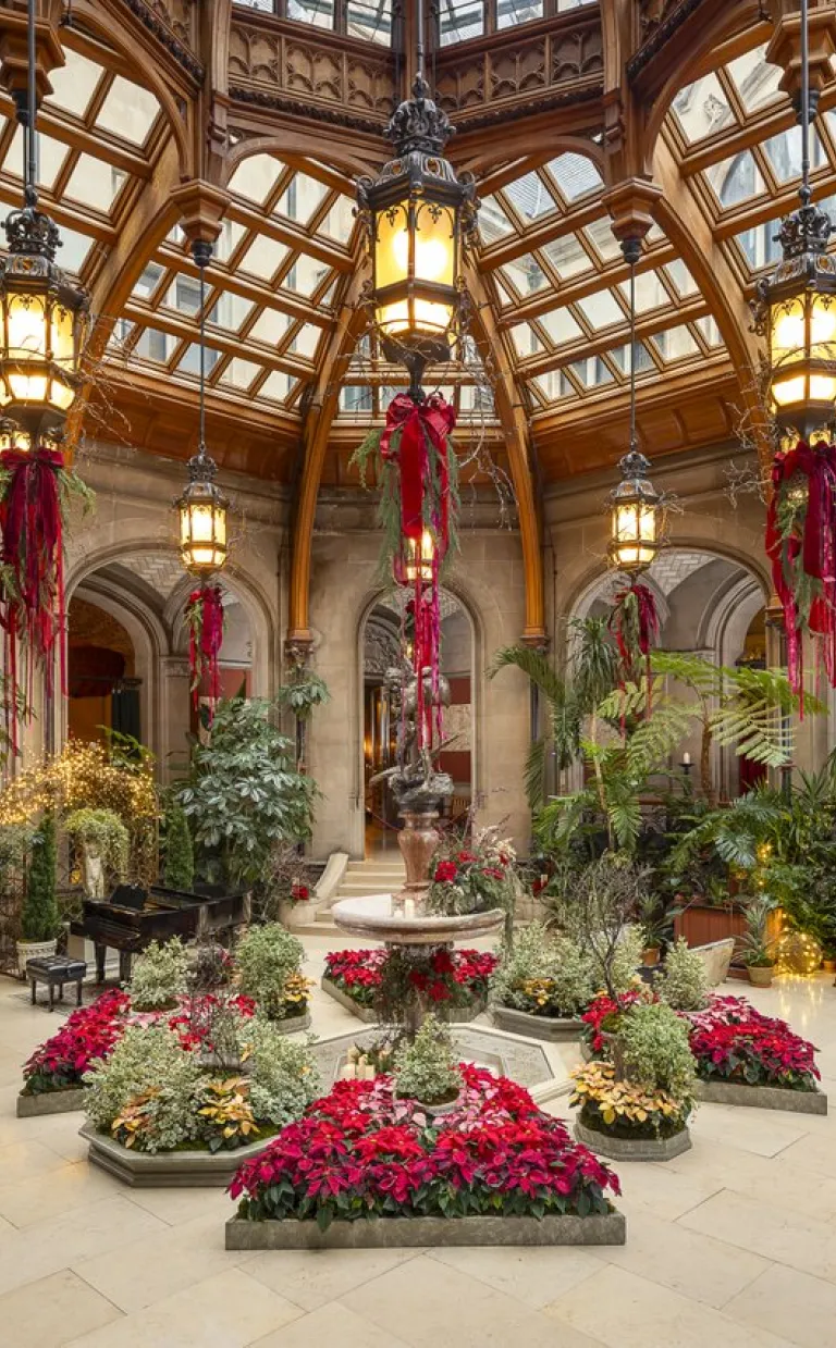 Christmas at Biltmore | Photo taken Nov 2024