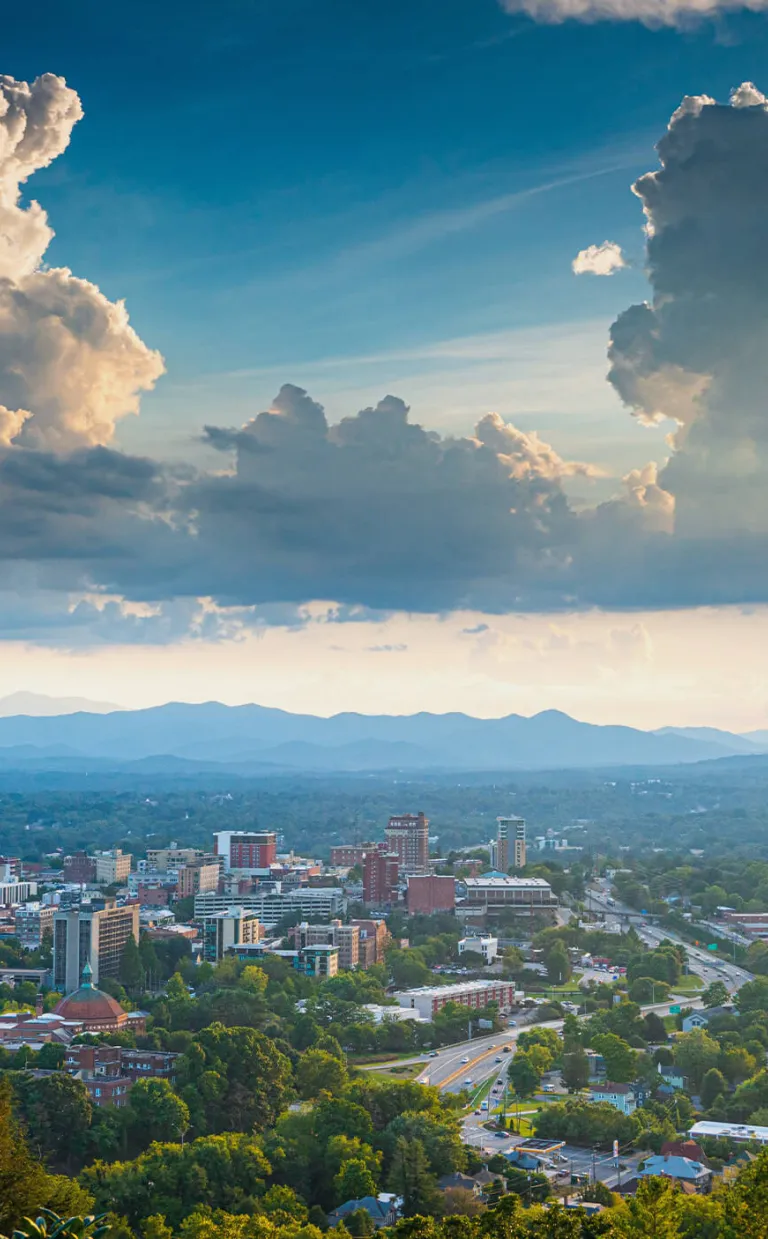 Always Asheville Fund Background