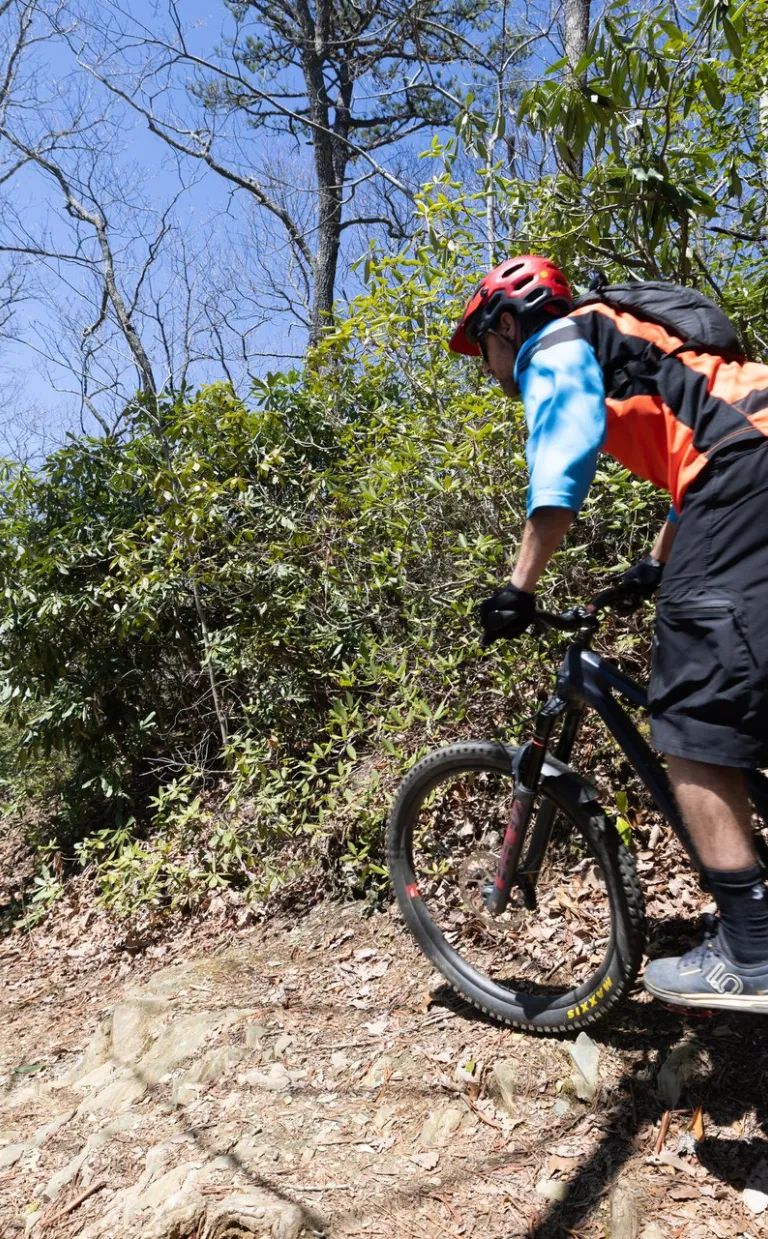 Mountain biking in the Blue Ridge Mountains