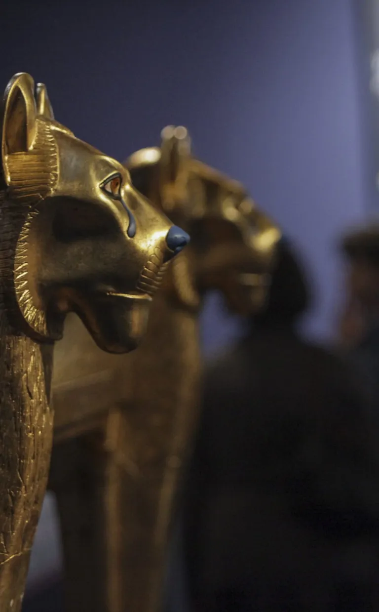 Tutankhamun: His Tomb and His Treasures