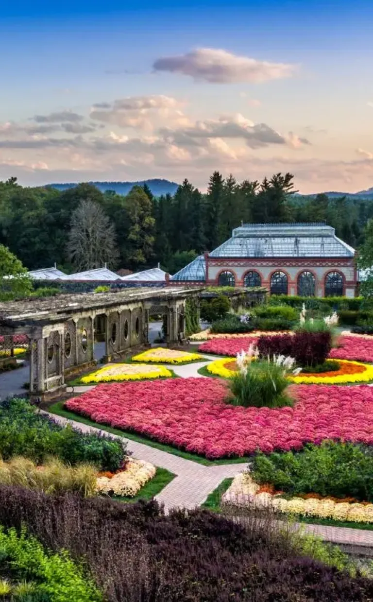 Biltmore Blooms