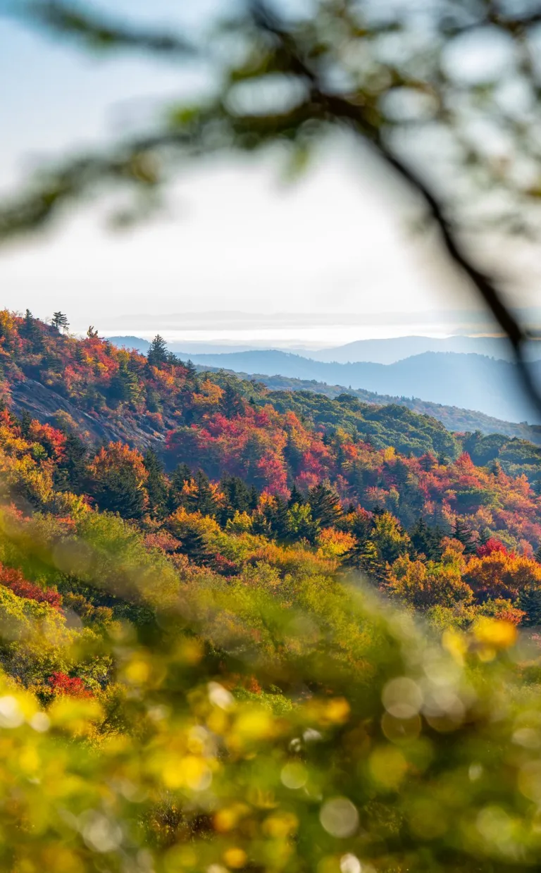 The Blue Ridge Mountains in fall / Photo: Leslie Restivo