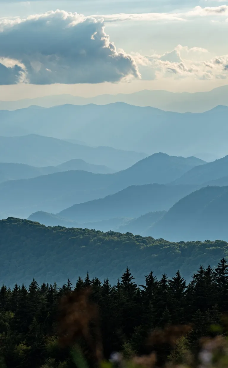 Blue Ridge Mountain Layers / Photo: James Reynolds