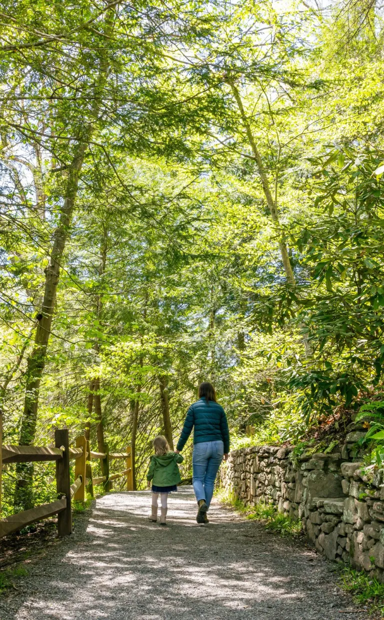 Asheville Botanical Gardens