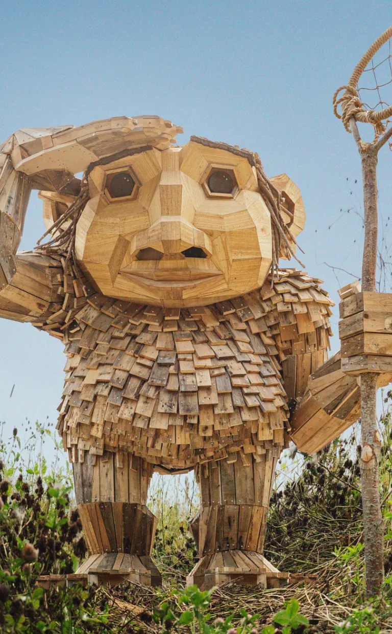 Thomas Dambo's Trolls: A Field Study / Photo: Thomas Dambo