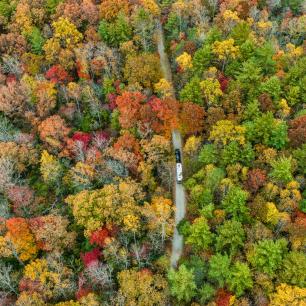 Yellow Gap Road in the Pisgah National Forest /Photo: Reggie Tidwell