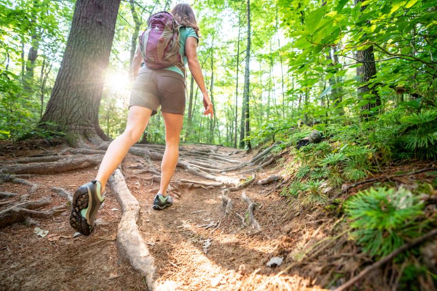 Taking the Trail Less Traveled Taking the Trail Less Traveled