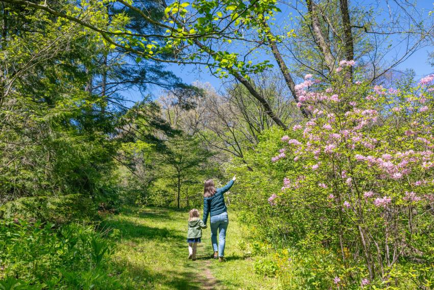 Asheville Botanical Gardens / Photo: Tim Robison Asheville Botanical Gardens / Photo: Tim Robison