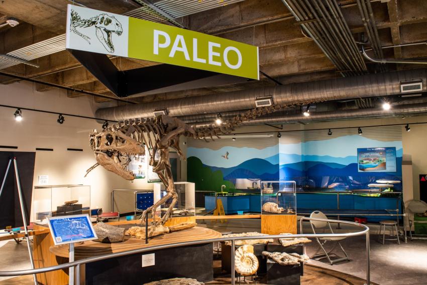 Asheville Museum of Science Asheville Museum of Science