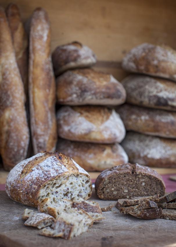 Bread Pic Bread Pic