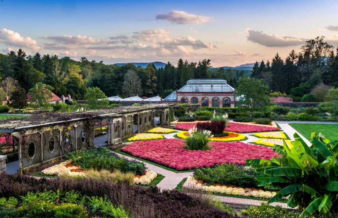 Biltmore Blooms / Photo: Jared Kay