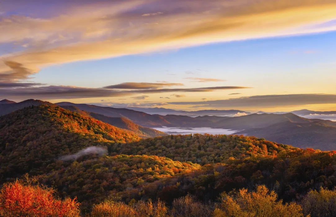 Graveyard Fields in the fall / Photo: Luke Sutton