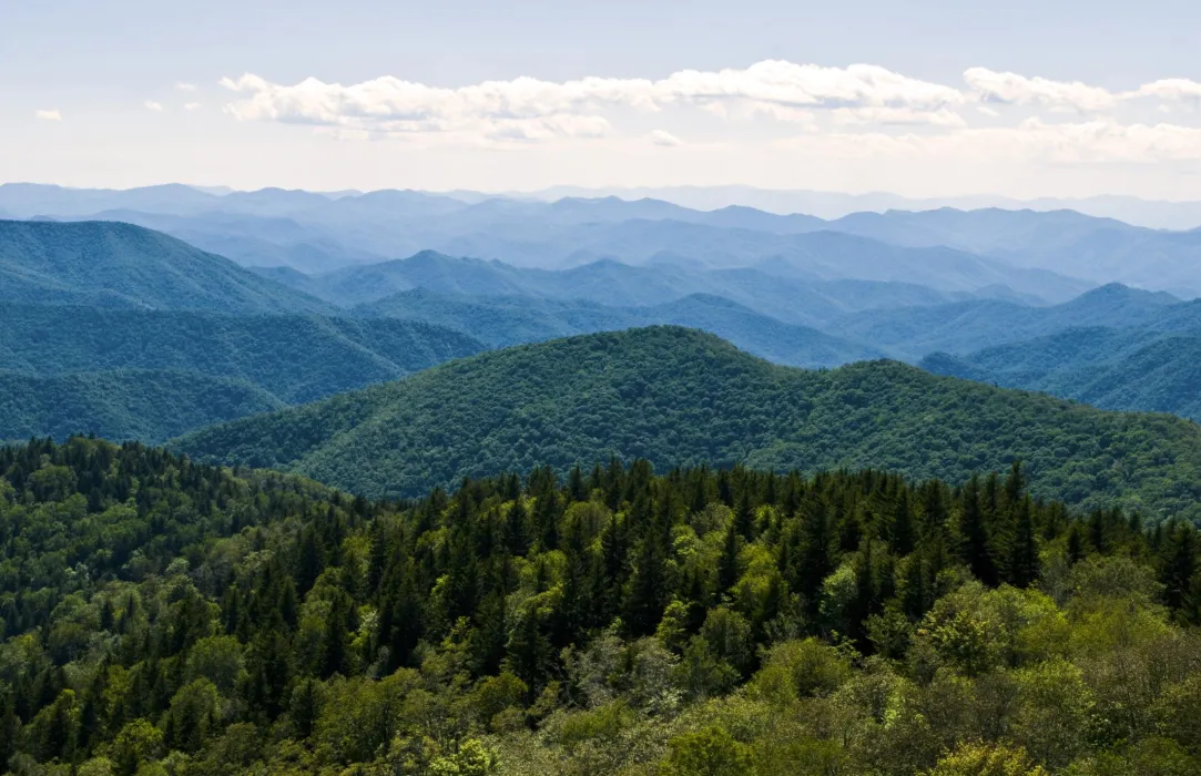 Cowee-Mountains-Overlook / Photo: Vicki Dameron